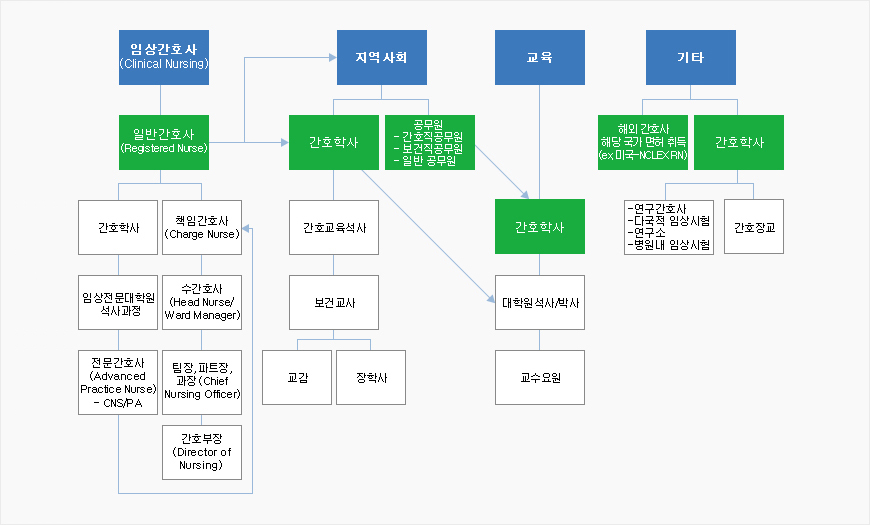 임상간호사 - 일반간호사 - 간호학사,책임간호사 / 임상전문대학원 석사과정, 수간호사 / 전문간호사,팀장,파트장,과장 / 간호부장
						지역사회 - 간호학사 - 간호교육석사 / 보건교사 / 교감,장학사
						지역사회 - 공무원(간호직공무원,보건직공무원,일반공무원) - 간호학사 / 대학원 석사,박사 / 교수요원
						교육 - 간호학사 / 대학원 석사,박사 / 교수요원
						기타 - 해외간호사 해당 국가 면허 취득, 간호학사 / 연구간호사, 다국적임상시험, 연구소, 병원내 임상시험, 간호장교